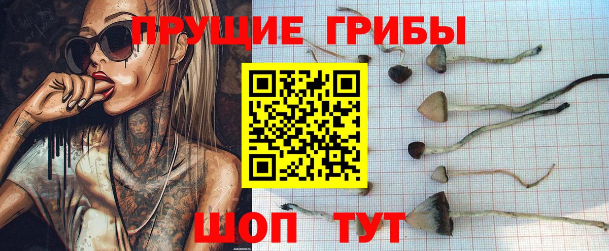Галлюциногенные грибы мухоморы Самара