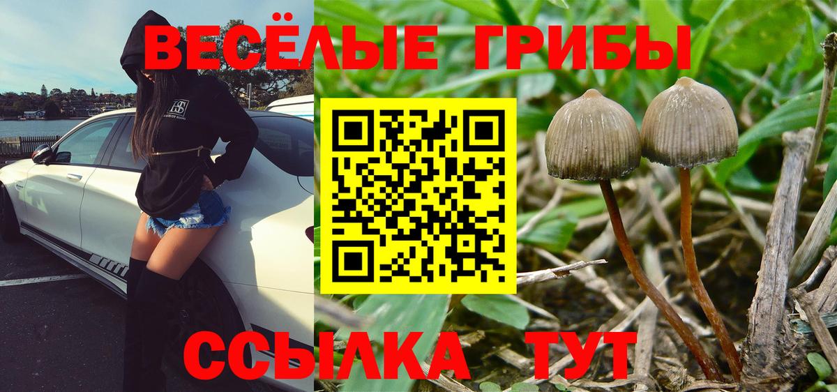 Самара  Галлюциногенные грибы Magic Shrooms  Вход с VPN 